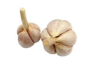 Clove garlic