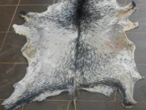 Multicolors Raw Goat Skins