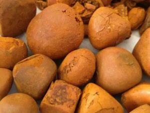 Ox Gallstones