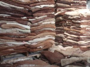 Wet Salted and Dried Donkey Hides/Goat Skin / Salted Cow Hides