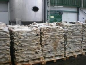 Wet Salted Cattle Hides, Cow Hides