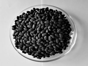 Black Kidney Beans