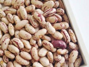 Light Speckled Kidney Beans