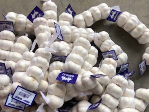 New Crop Fresh Normal White Red Chinese Garlic