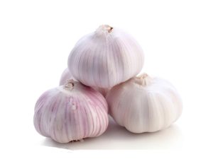 Normal white garlic