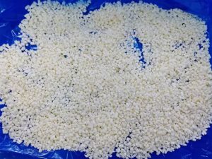 IQF frozen garlic dices