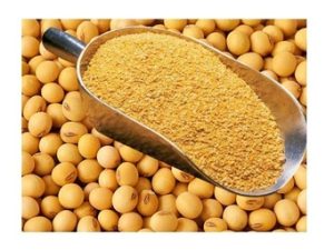 SOYBEAN MEAL