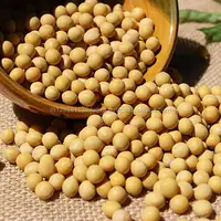 SOYBEAN