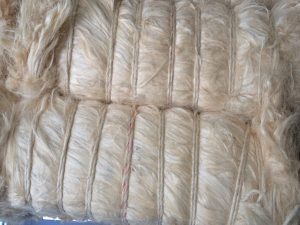 Sisal Fiber