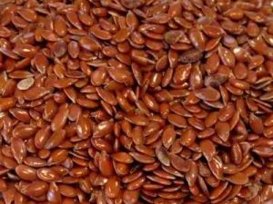 Flax Seeds