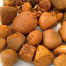 Ox Gallstones
