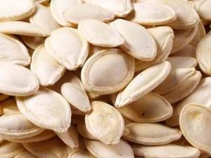 Pumpkin Seed