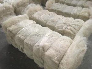 Sisal Fiber Grade 3L(3 Long)