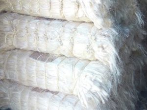 Sisal Fiber SSUG Grade