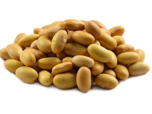 Mayocoba Beans
