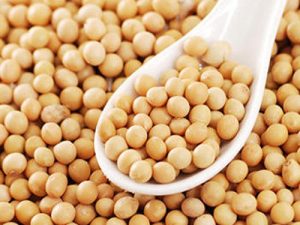 Soya Beans