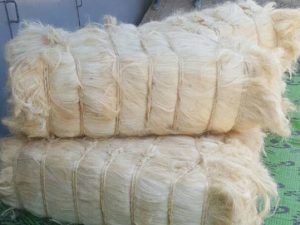 Sisal Fiber Grade No. 3 Short