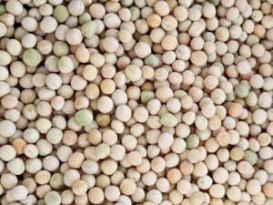 White Black eye beans