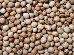 Pigeon Peas