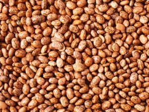 Pinto Beans