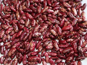 Light Speckled Kidney Beans