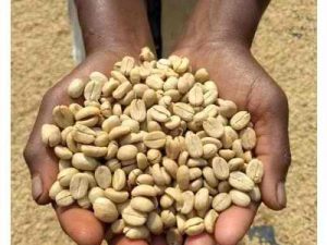 LEKEMOTI NATURAL COFFEE