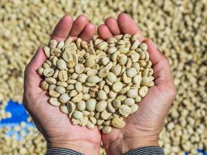 YIRGACHEFFE WASHED COFFEE